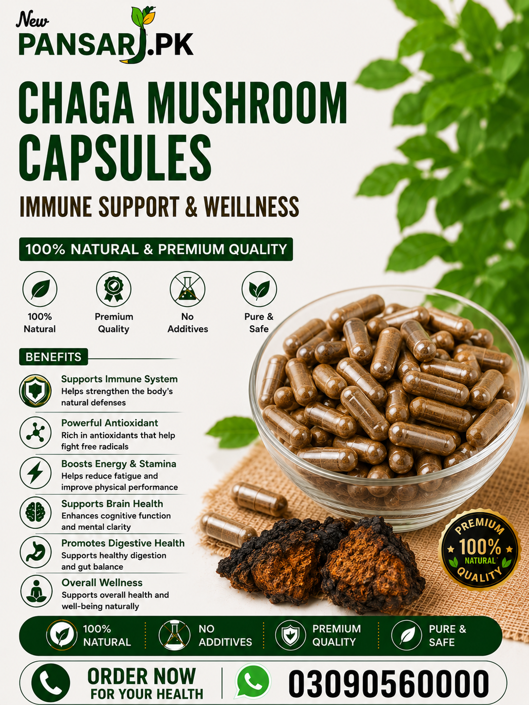 Chaga mushroom
