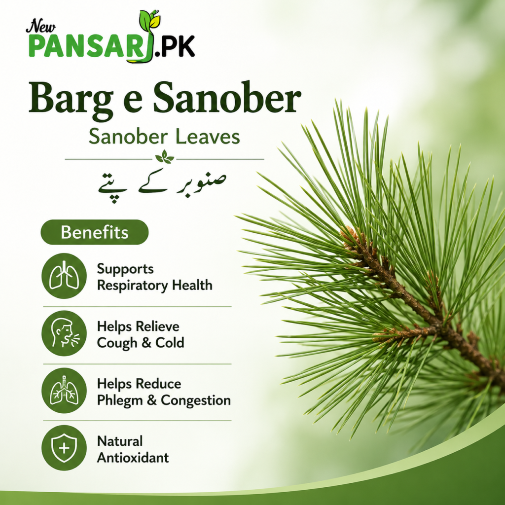 Sanober Leaves