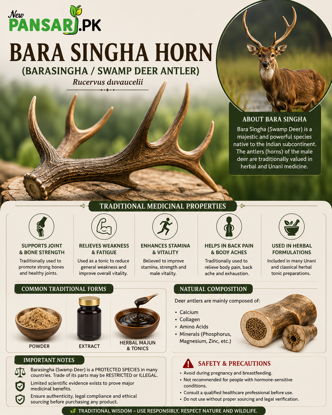BARA SINGHA