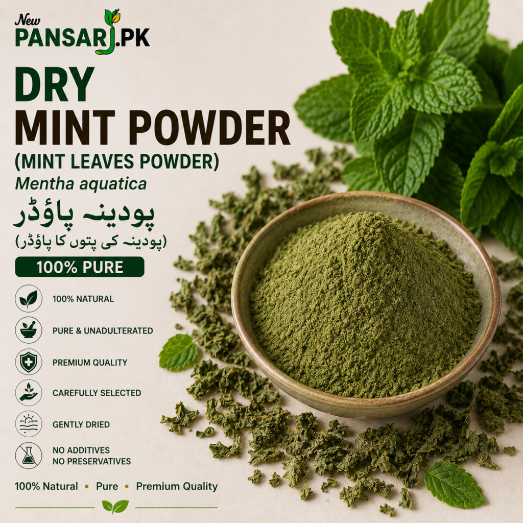 Mint Leaves Powder