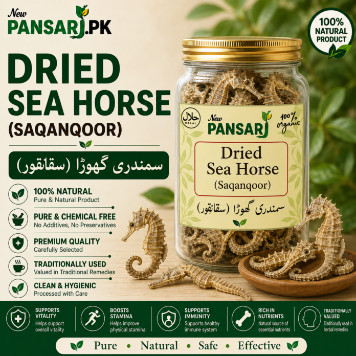 DRIED SEA HORSE BENEFITS,SIDE EFFECTS AND THEIR USES