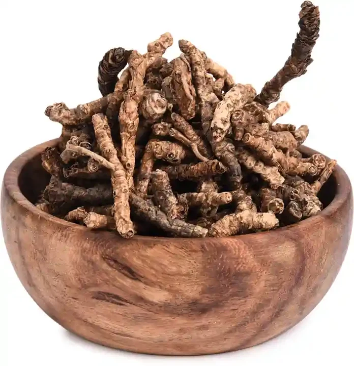 KUTKI BENEFITS,SIDE EFFECTS AND THEIR USES