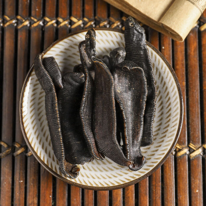 LEECHES DRY BENEFITS,SIDE EFFECTS AND THEIR USES
