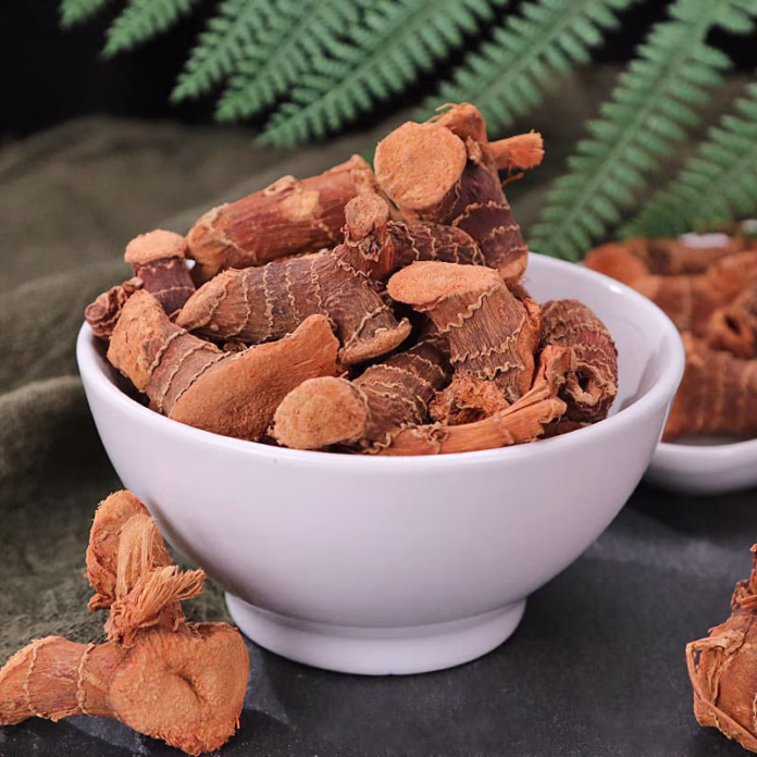 JAVA GALANGA BENEFITS,SIDE EFFECTS AND THEIR USES