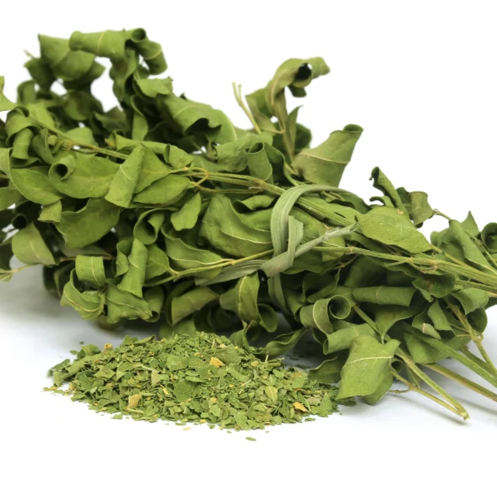 MORINGA LEAVES BENEFITS,SIDE EFFECTS AND THEIR USES