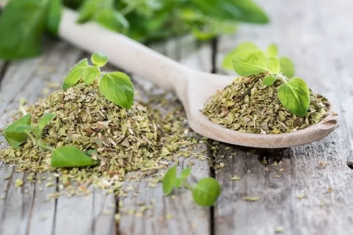 ORAEGANO LEAVES BENEFITS,SIDE EFFECTS AND THEIR USES