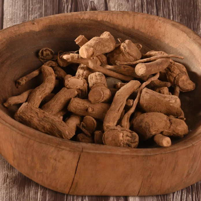 SNAKE ROOT (ARSOL) BENEFITS,SIDE EFFECTS AND THEIR USES