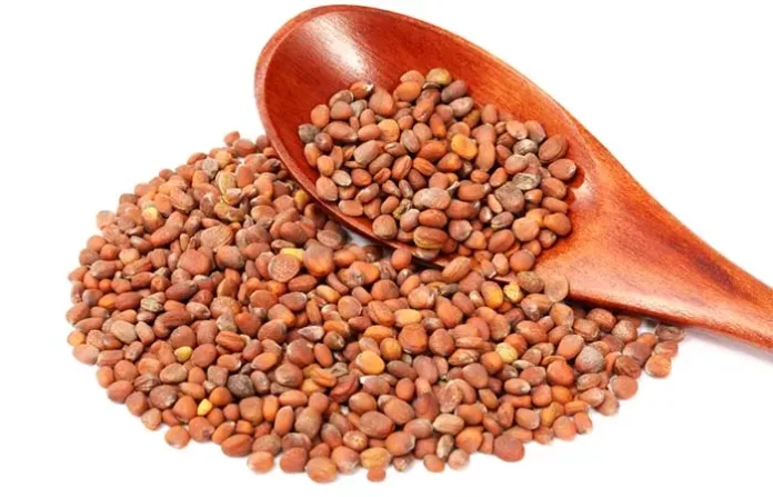 RADISH SEEDS BENEFITS,SIDE EFFECTS AND THEIR USES
