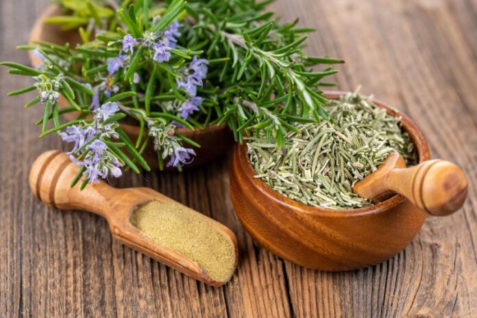 ROSEMARY LEAVES BENEFITS,SIDE EFFECTS AND THEIR USES