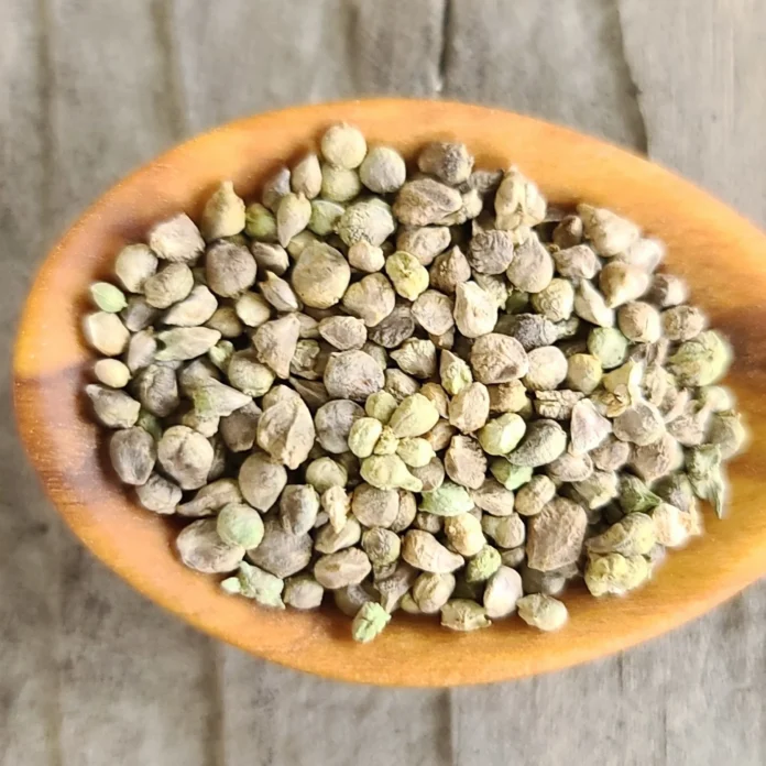 SPINACH SEEDS BENEFITS,SIDE EFFECTS AND THEIR USES
