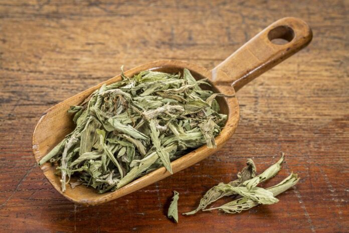 STEVIA LEAVES BENEFITS,SIDE EFFECTS AND THEIR USES