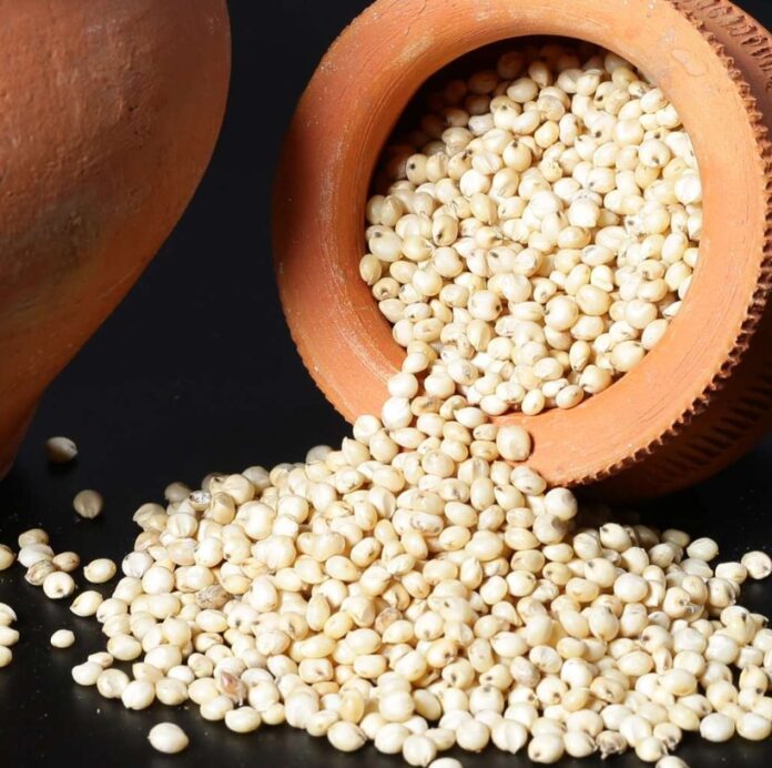 SORGHUM MILLET BENEFITS,SIDE EFFECTS AND THEIR USES