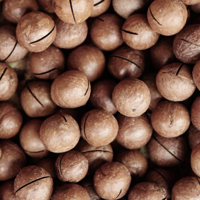 MACADAMIA NUTS BENEFITSAND HOW TO USE