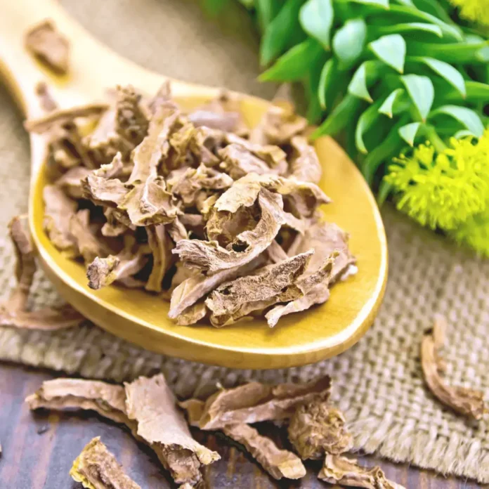 RHODIOLA ROSEA BENEFITS AND HOW TO USE