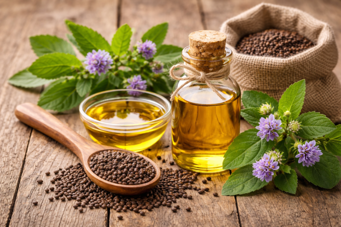 BABCHI OIL BENEFITS AND HOW TO USE