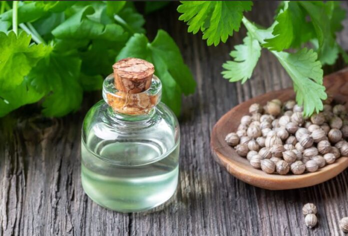 CORIANDER OIL BENEFITS AND HOW TO USE