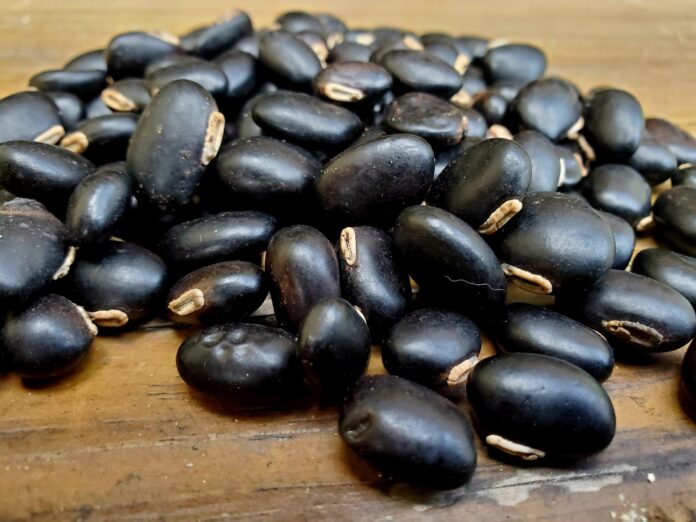 BLACK VELVET BEAN BENEFITS,SIDE EFFECTS AND HOW TO USE