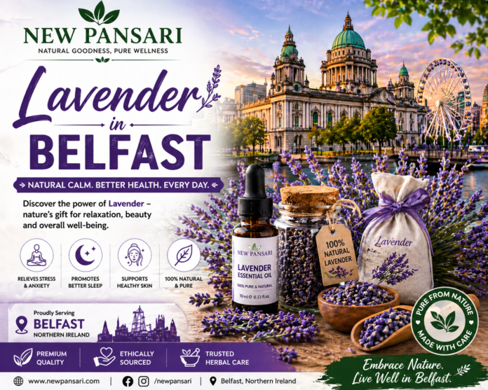 Why Lavender Is Trending in Belfast (2026) – Benefits, Uses & Where to Buy