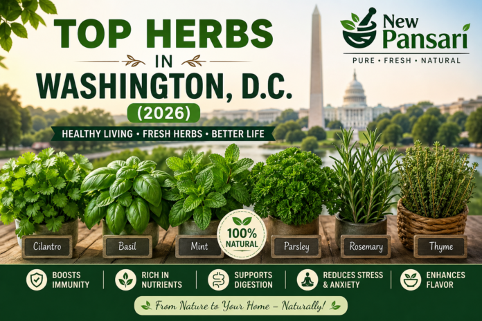Top Selling Herbs in Washington, D.C. (2026) – Benefits, Uses & Market Trends