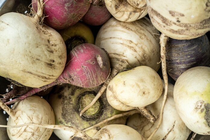 Complete Guide to Maca Root: Benefits, Dosage, Uses & Risks