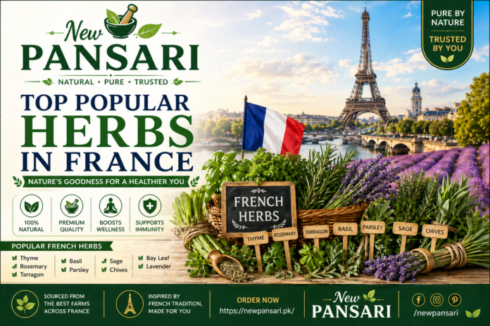 Top Popular Herbs in France (2026) – Uses, Benefits & Culinary Guide