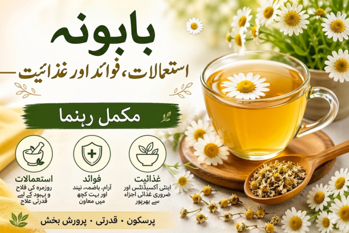 گل بابونہ کے استعمالات، فوائد اور غذائیت – مکمل رہنمائی